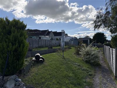 Picture 23